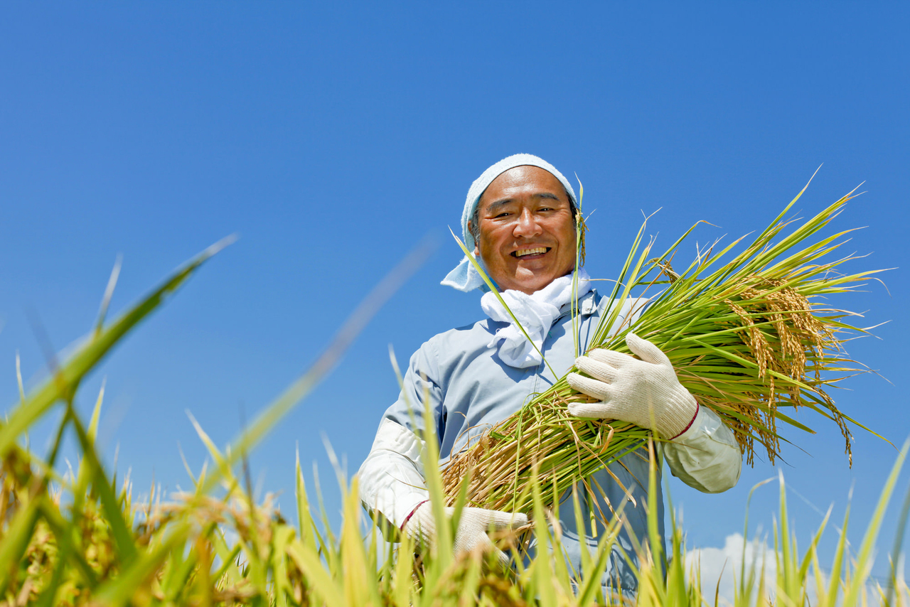 相続した土地が埋蔵文化財包蔵地であった