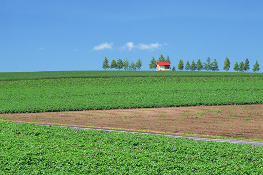 相続土地国庫帰属法